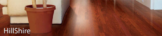 Mullican/HillShireHEADER_1024x1024.jpg